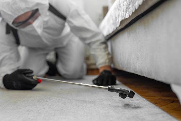 Professional Bed Bug Control technician working in Farmingdale, NJ