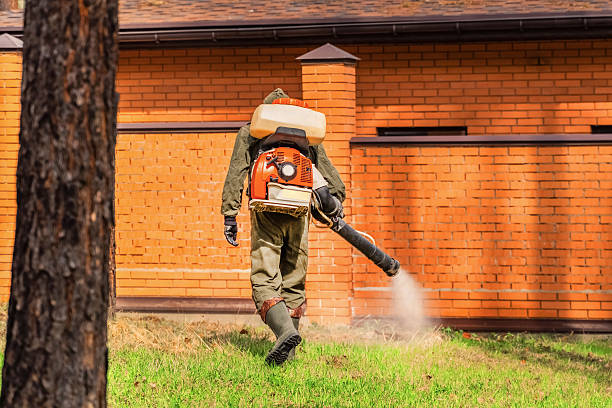 Trusted Termite Control service in Farmingdale, NJ - Nex Pest Control